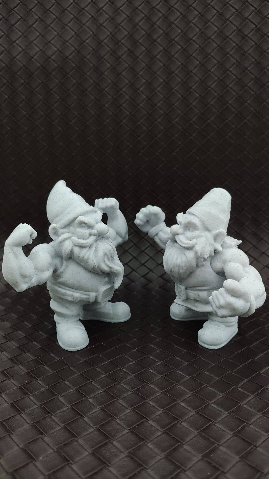 Pack of Four Garden Gnomes
