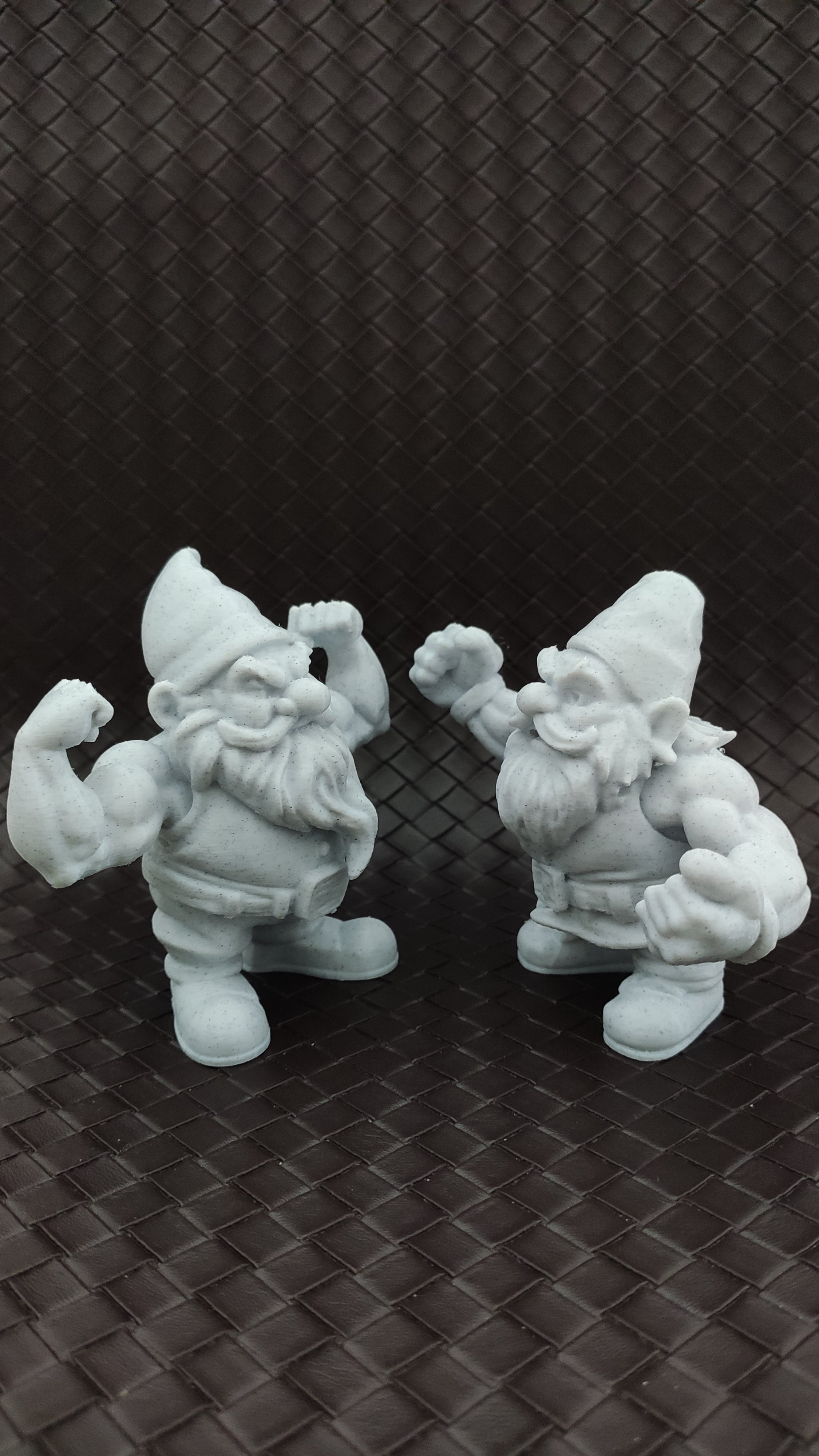 Pack of Four Garden Gnomes
