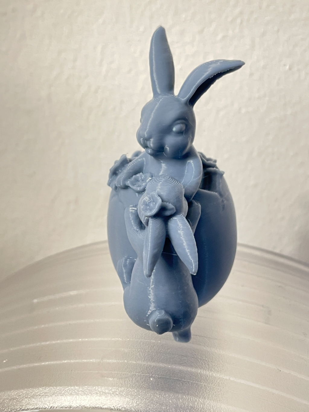 Cute easter bunny in easter Egg