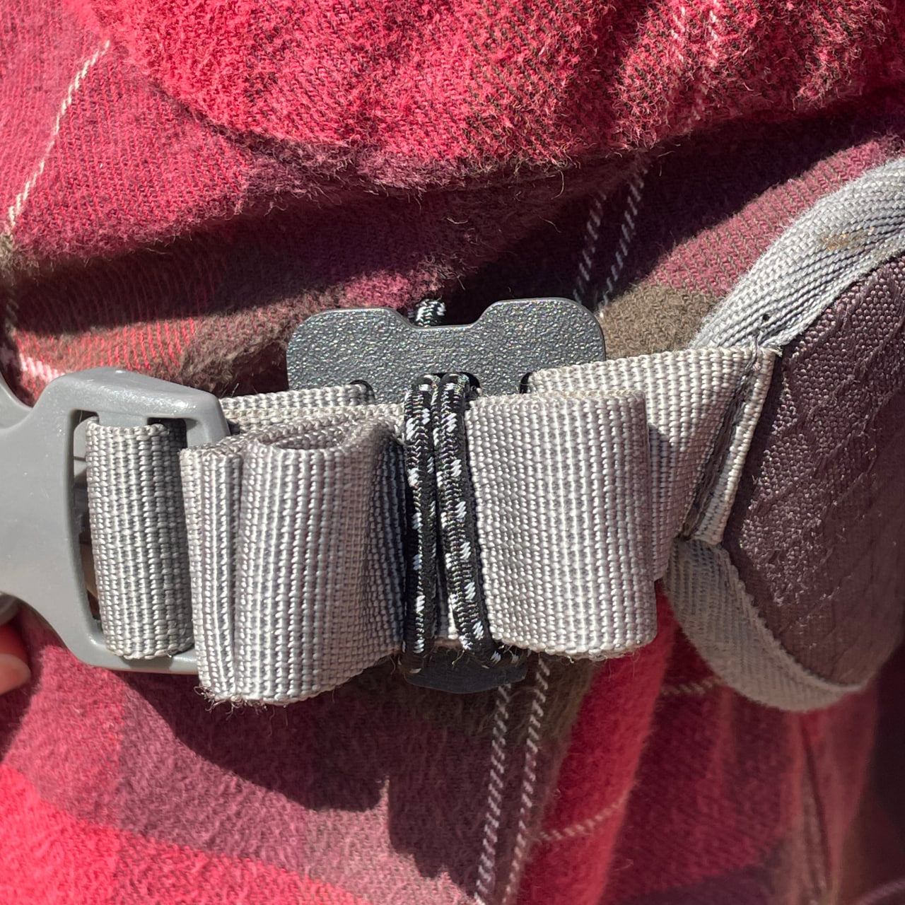 Web Dominator – Strap Clip / MOLLE Backpack