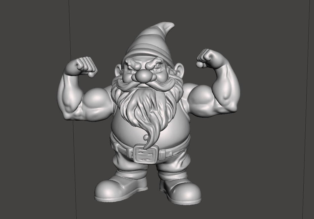 Pack of Four Garden Gnomes