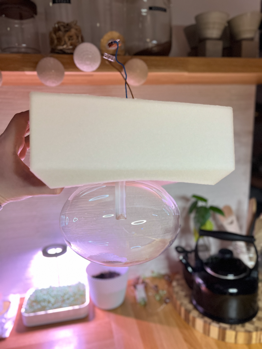 Ceiling Light, Ligthing