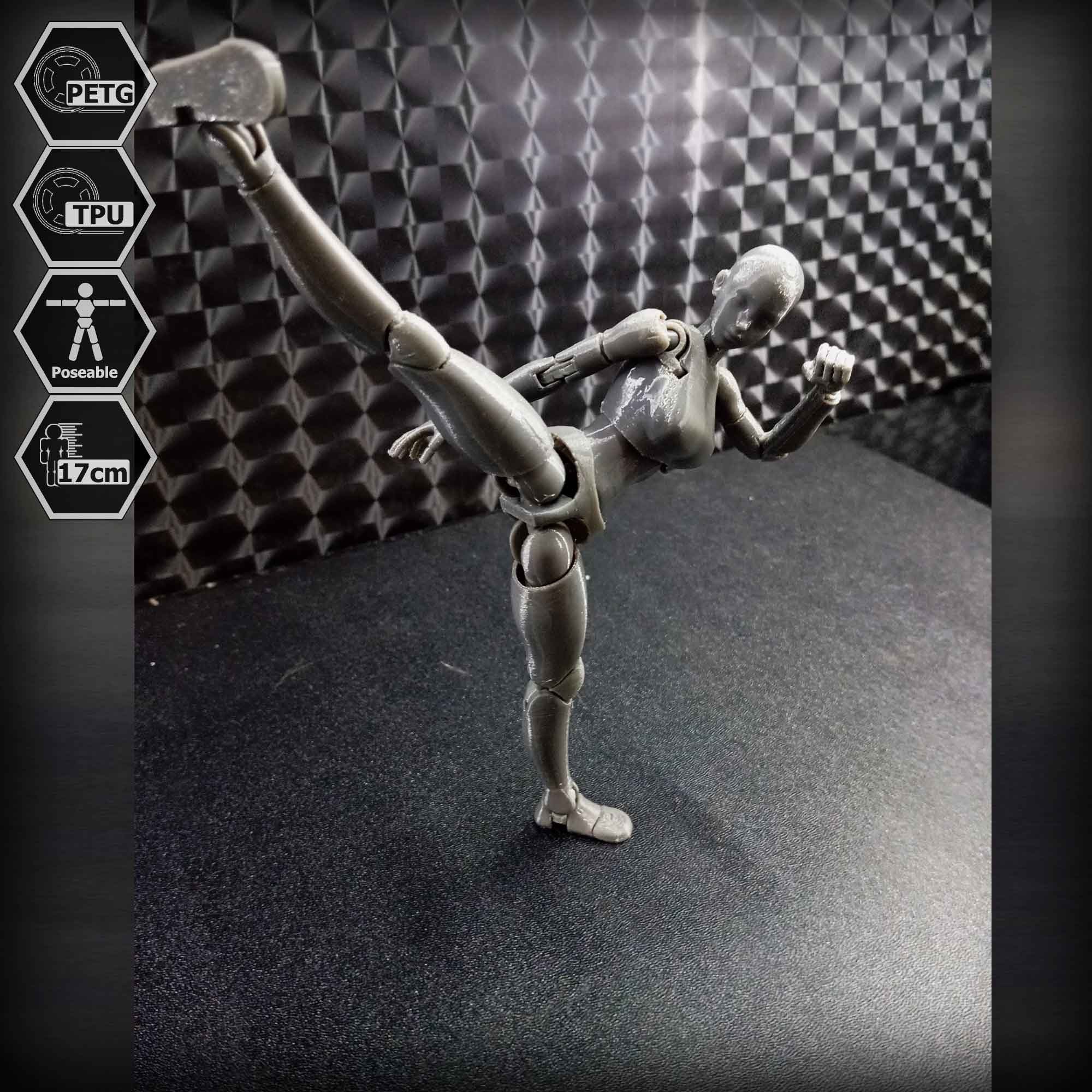 1/10 Scale TPU Joint Action Figure E.V.A 02