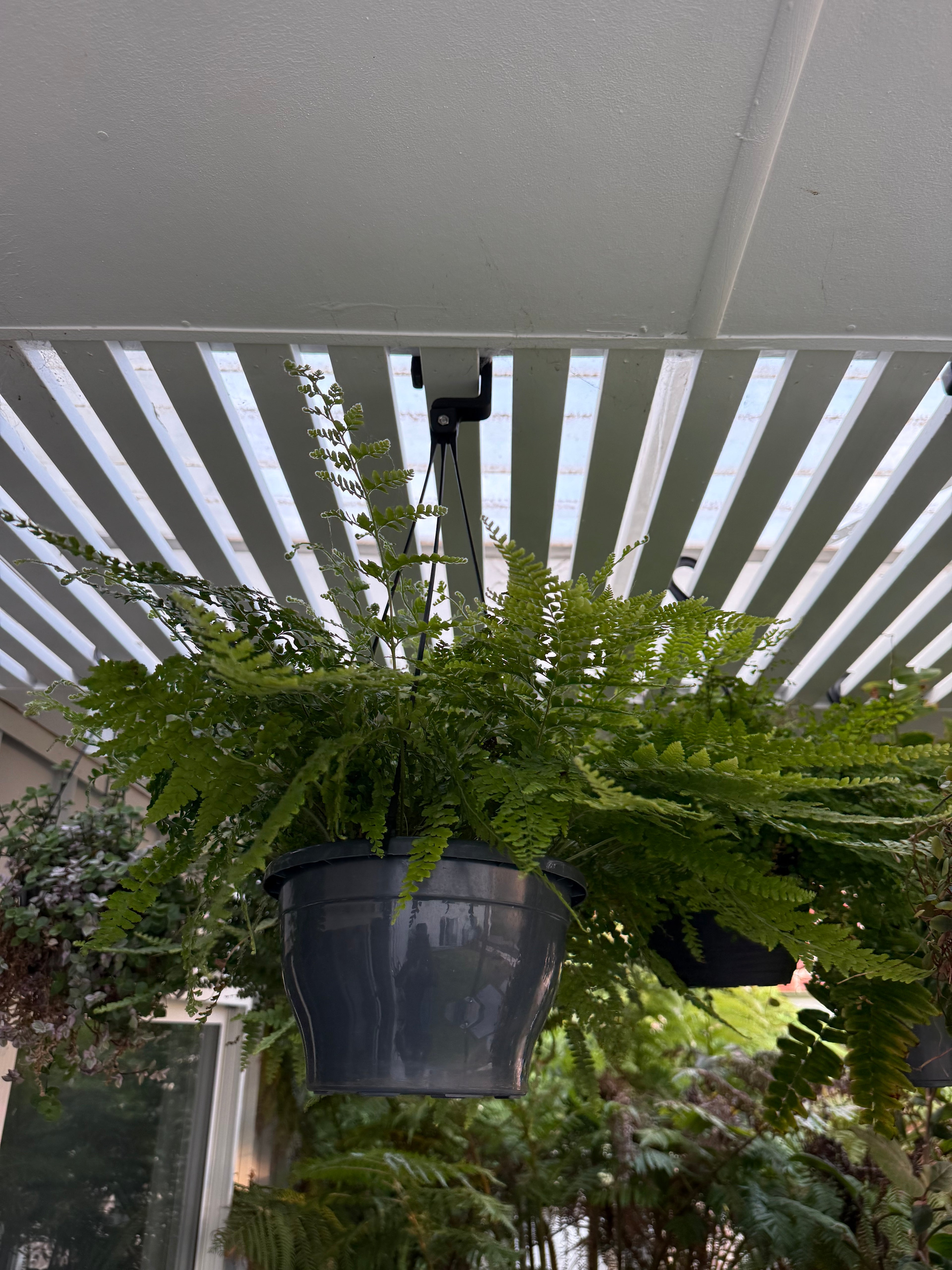 Hanging Basket Repair Parts - Hooks & Hangers