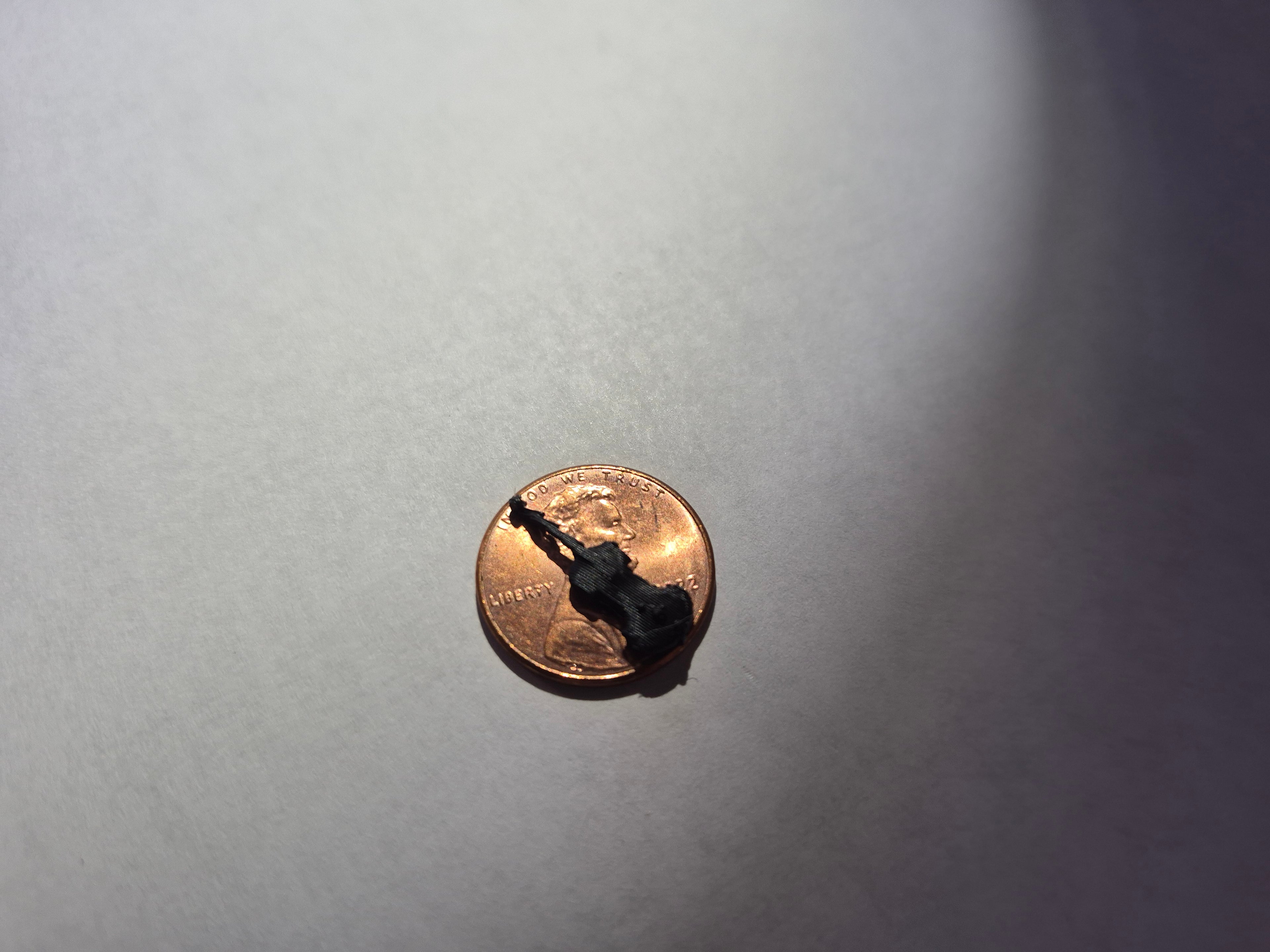 The Worlds Smallest Violin