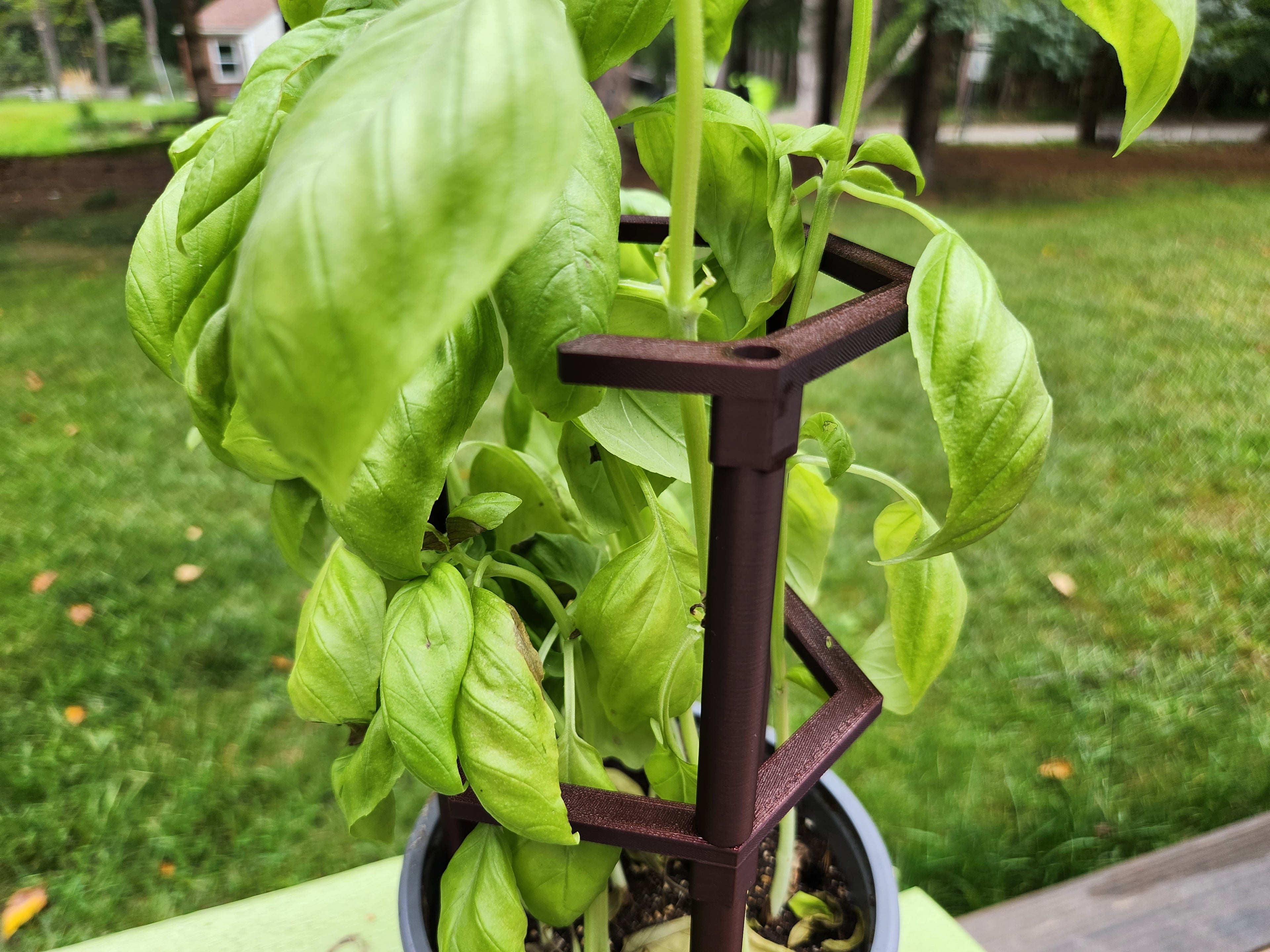 Open Cage Stackable Plant Support Stakes