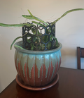 Circular Garden Trellis