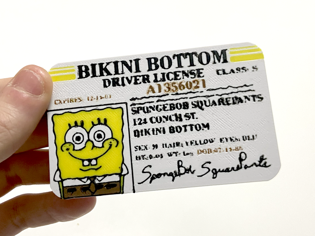 Spongebob Driver Licence