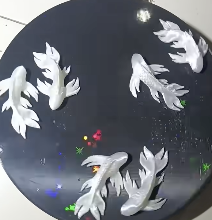 Fish floating in water