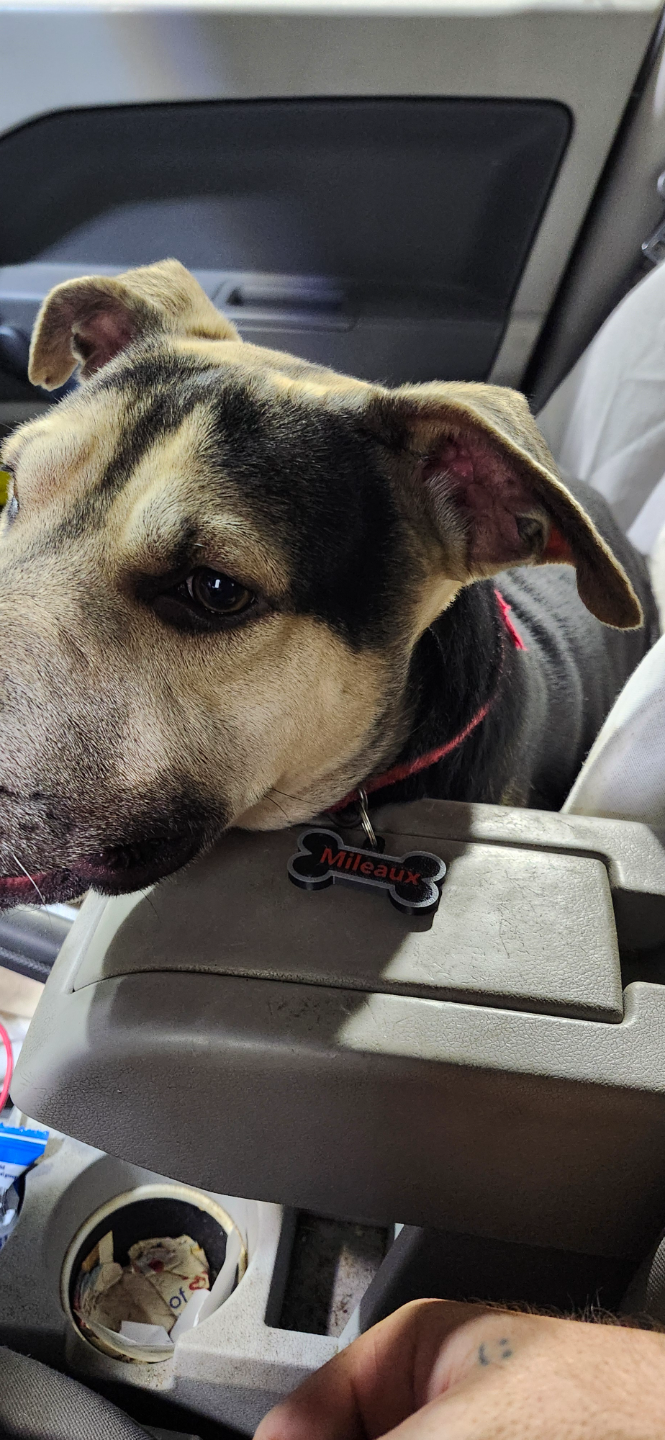 Customizable Dog Tag Name/Number