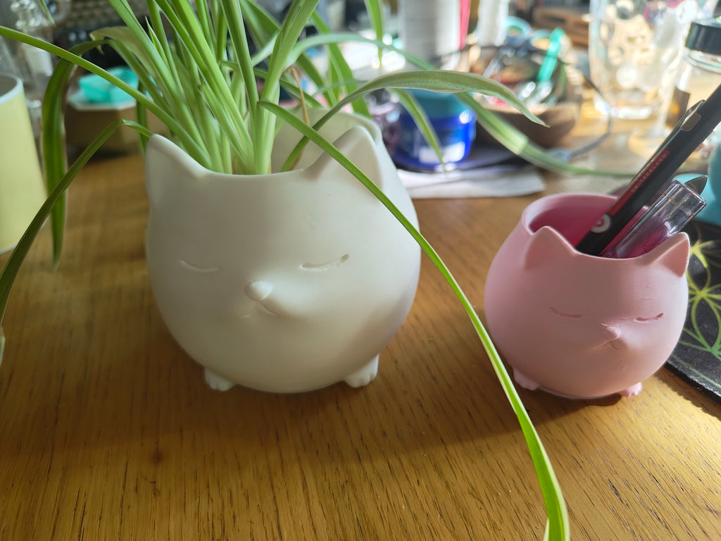 Sleepy Cat Cup – Planter & Desk Organizer (CC0)