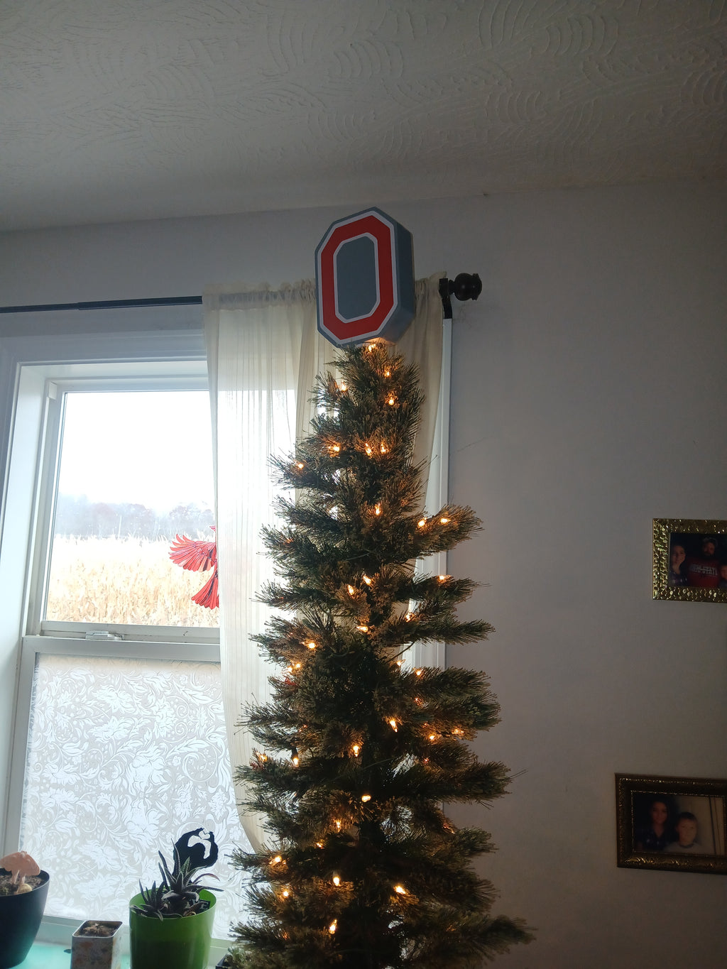 Ohio State Tree Topper