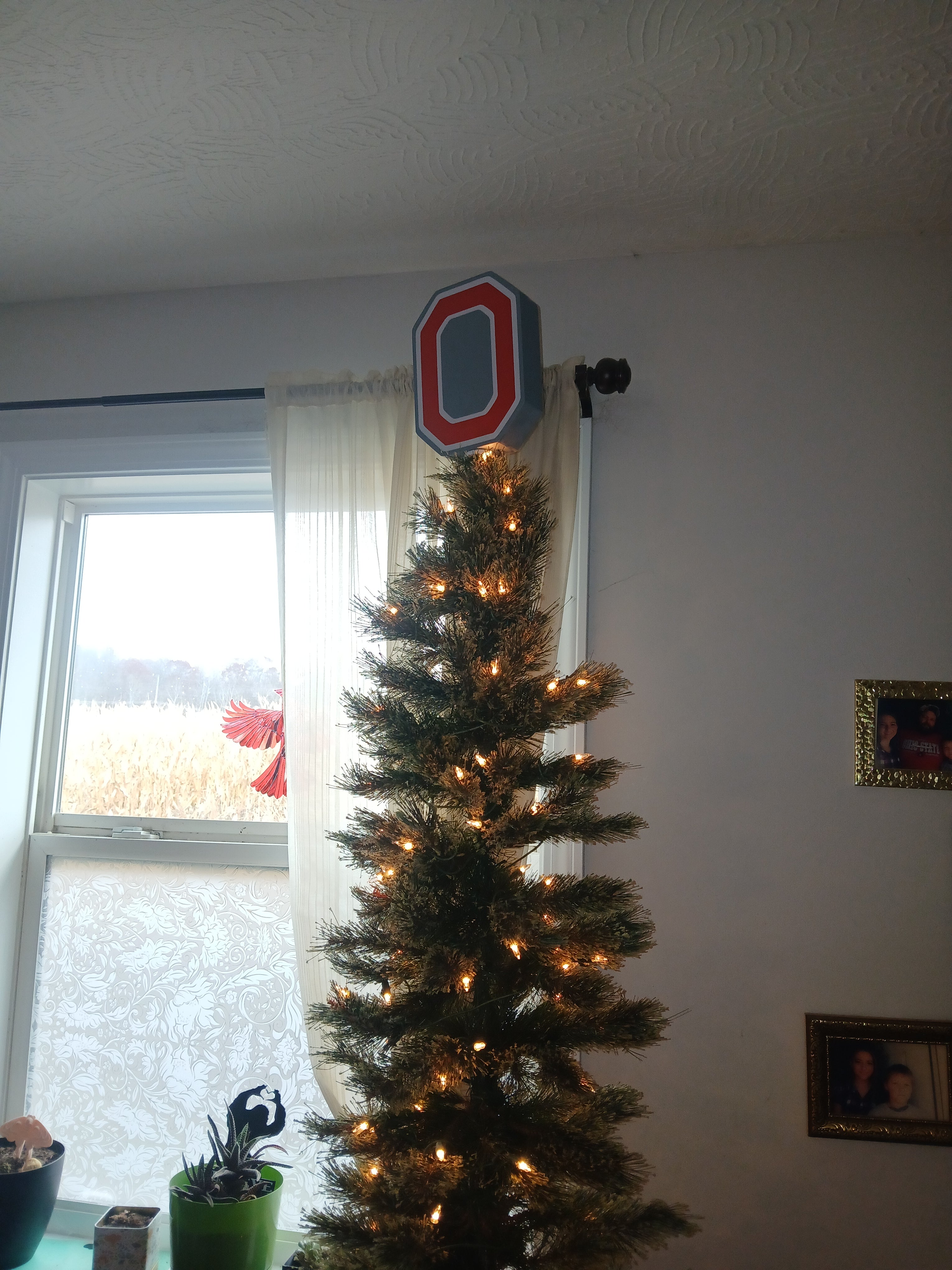 Ohio State Tree Topper