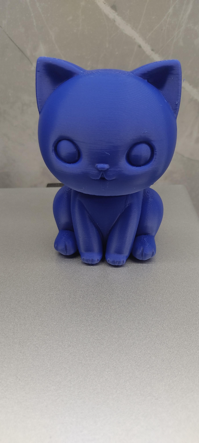 Cute Cat