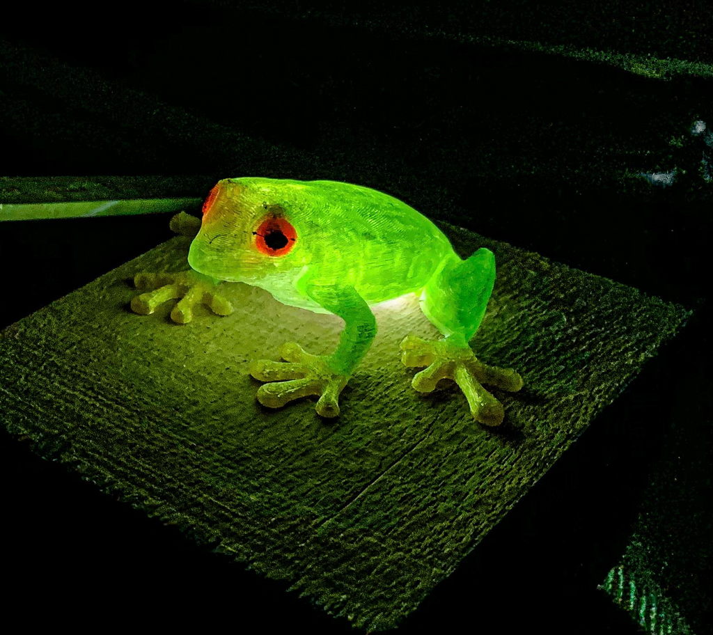 Frogg multicolor / Frosch Mehrfarbig