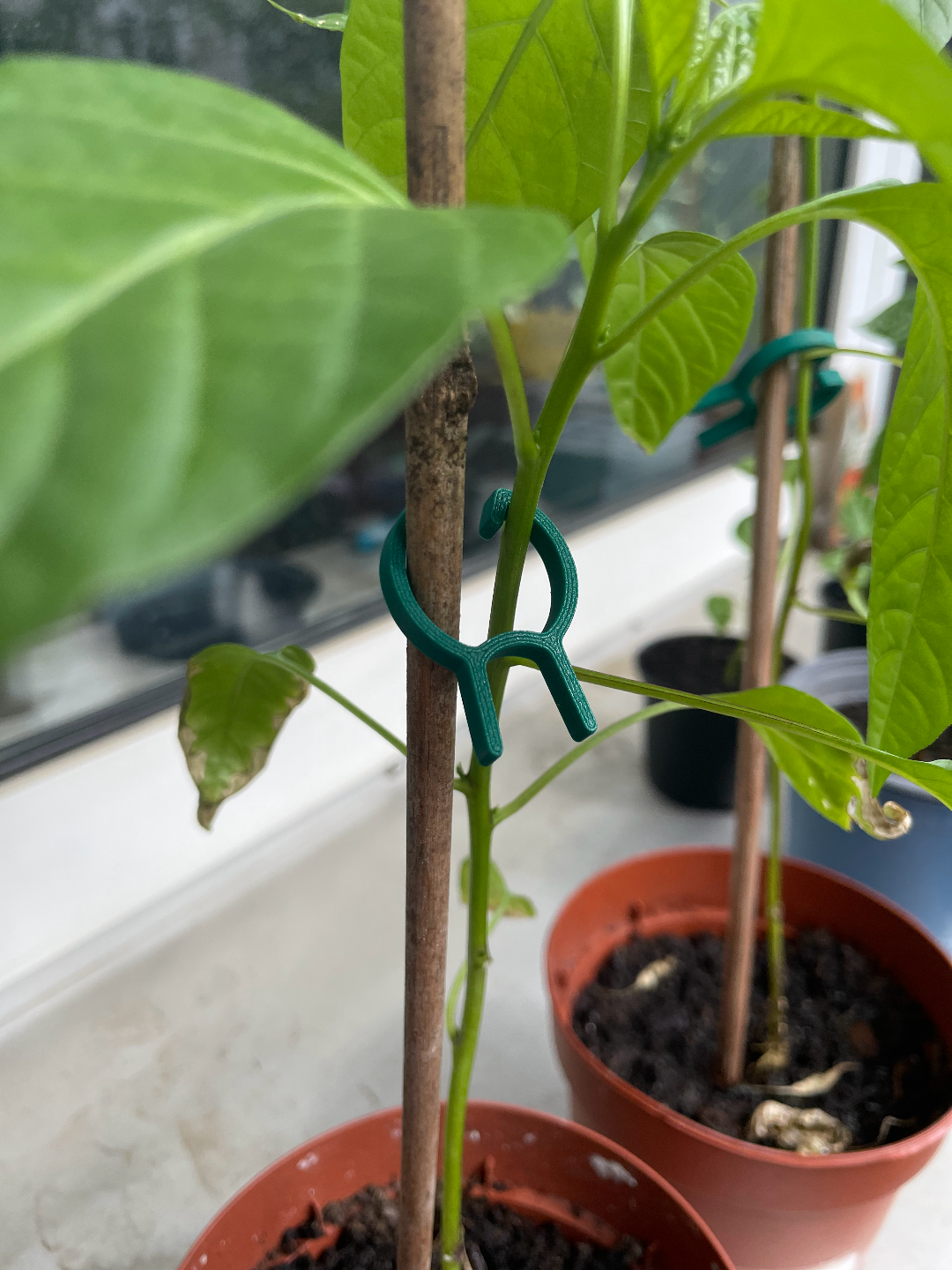Simple Plant Clip