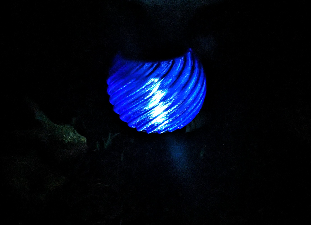Solar Landscape Light