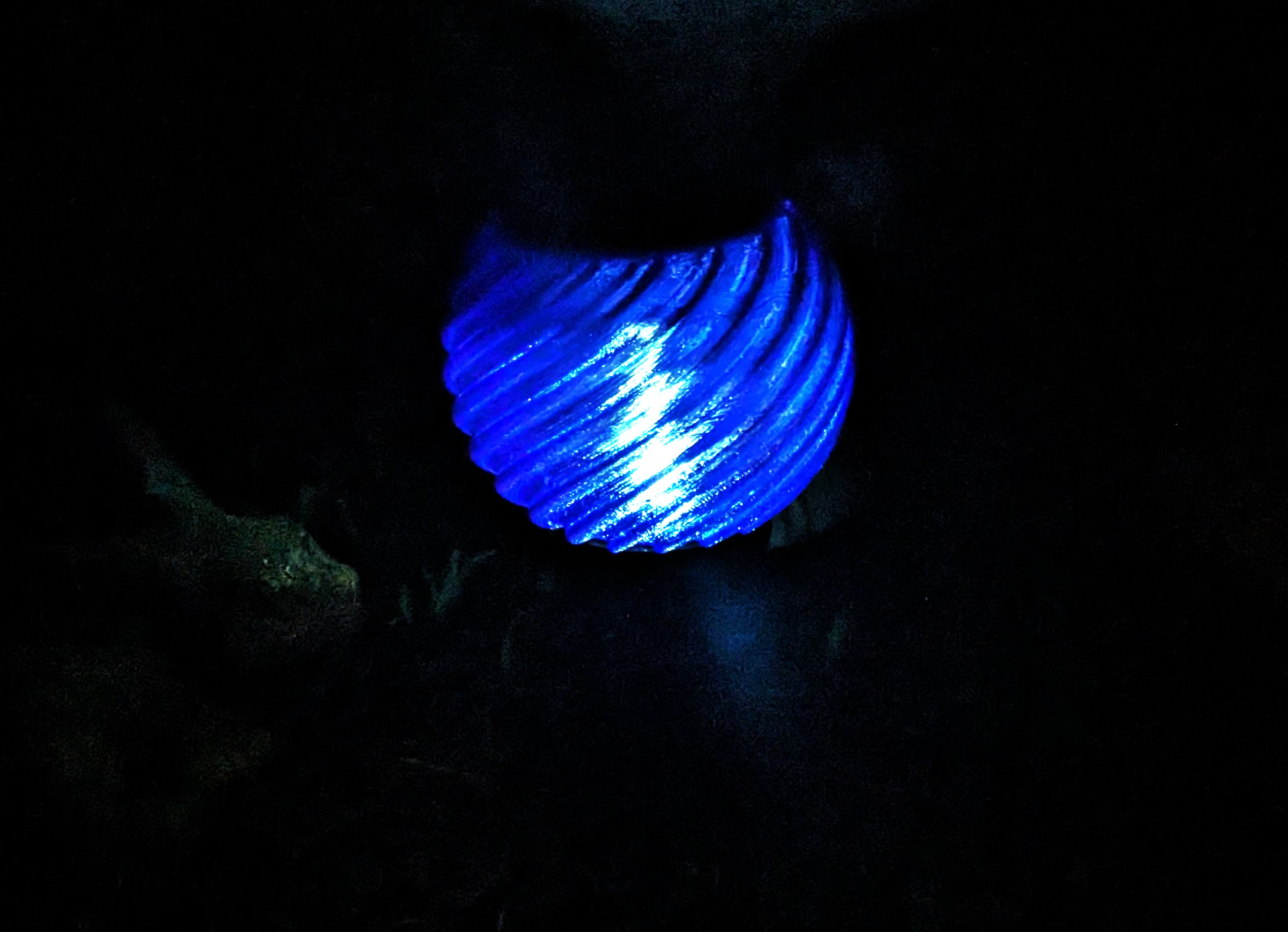 Solar Landscape Light