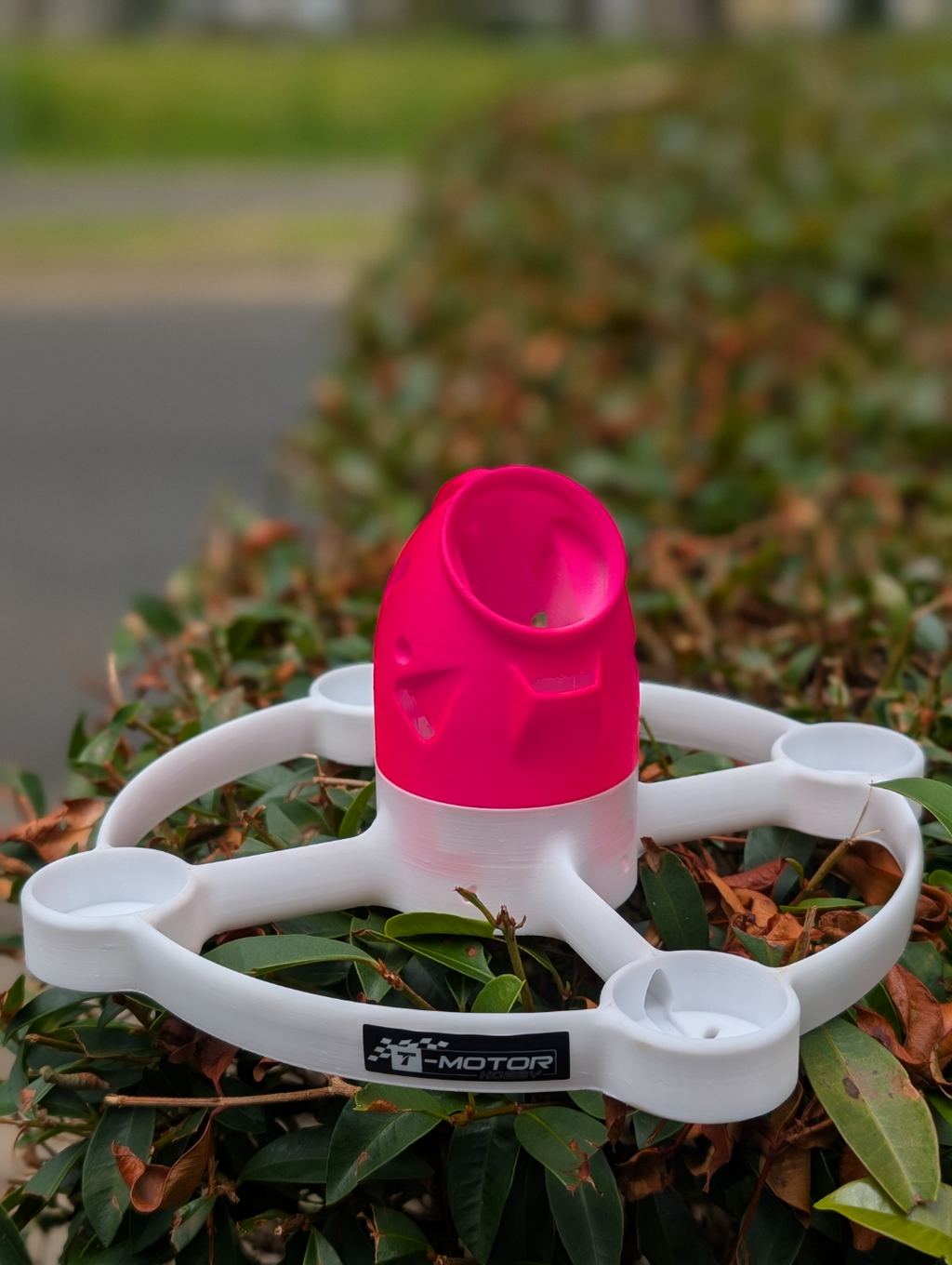 Aeroring Canopy DJI 03