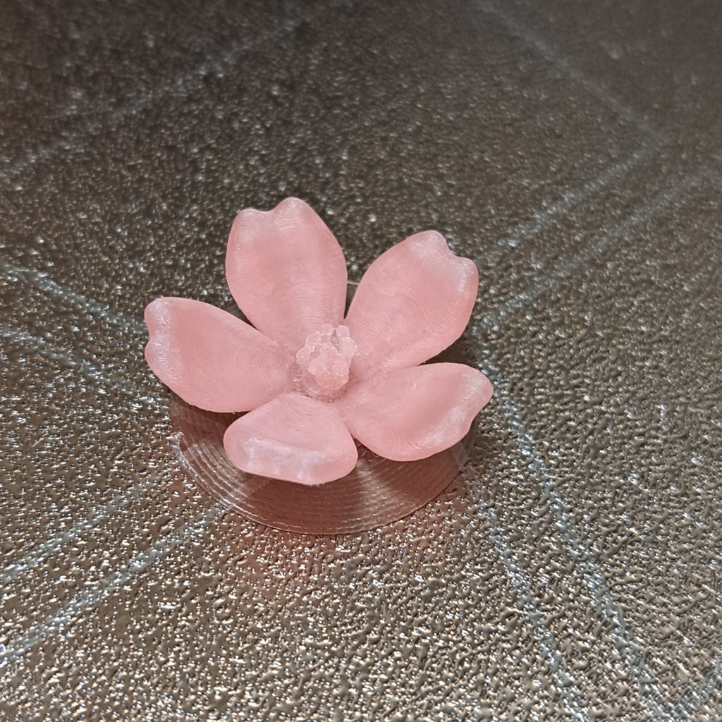 Cherry Blossom Flower – Sakura Single Flower Model