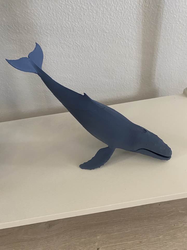 Humpback Whale.