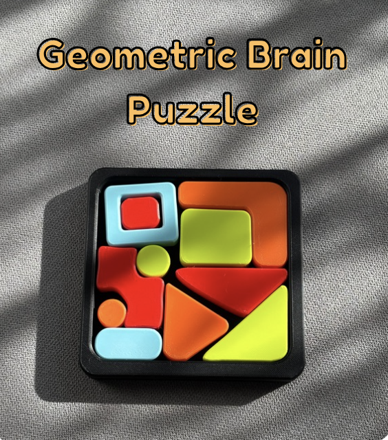 Geometric Brain Puzzle