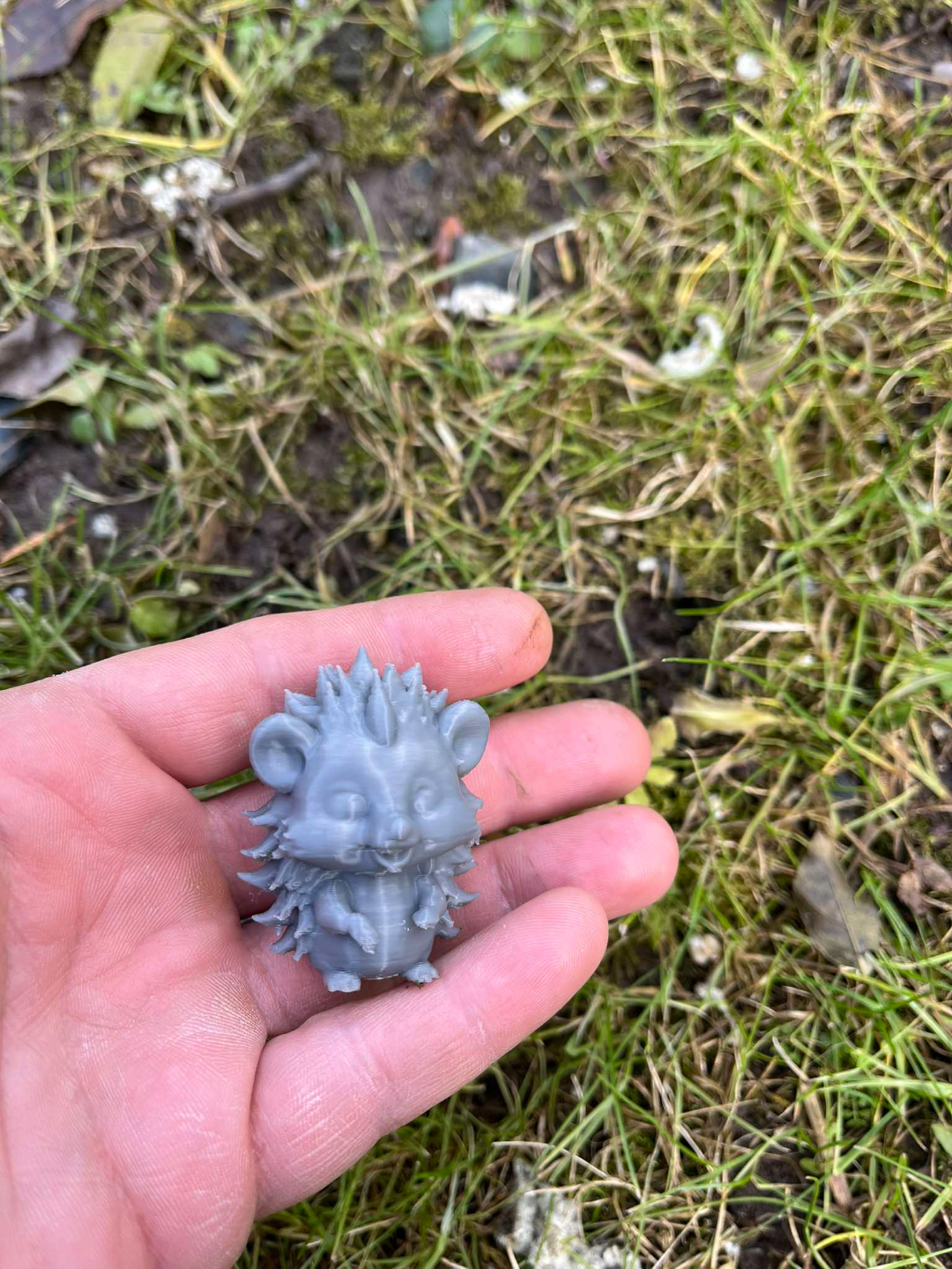 Hedgehog Family