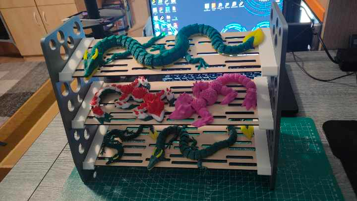 Dragon Shelf Display