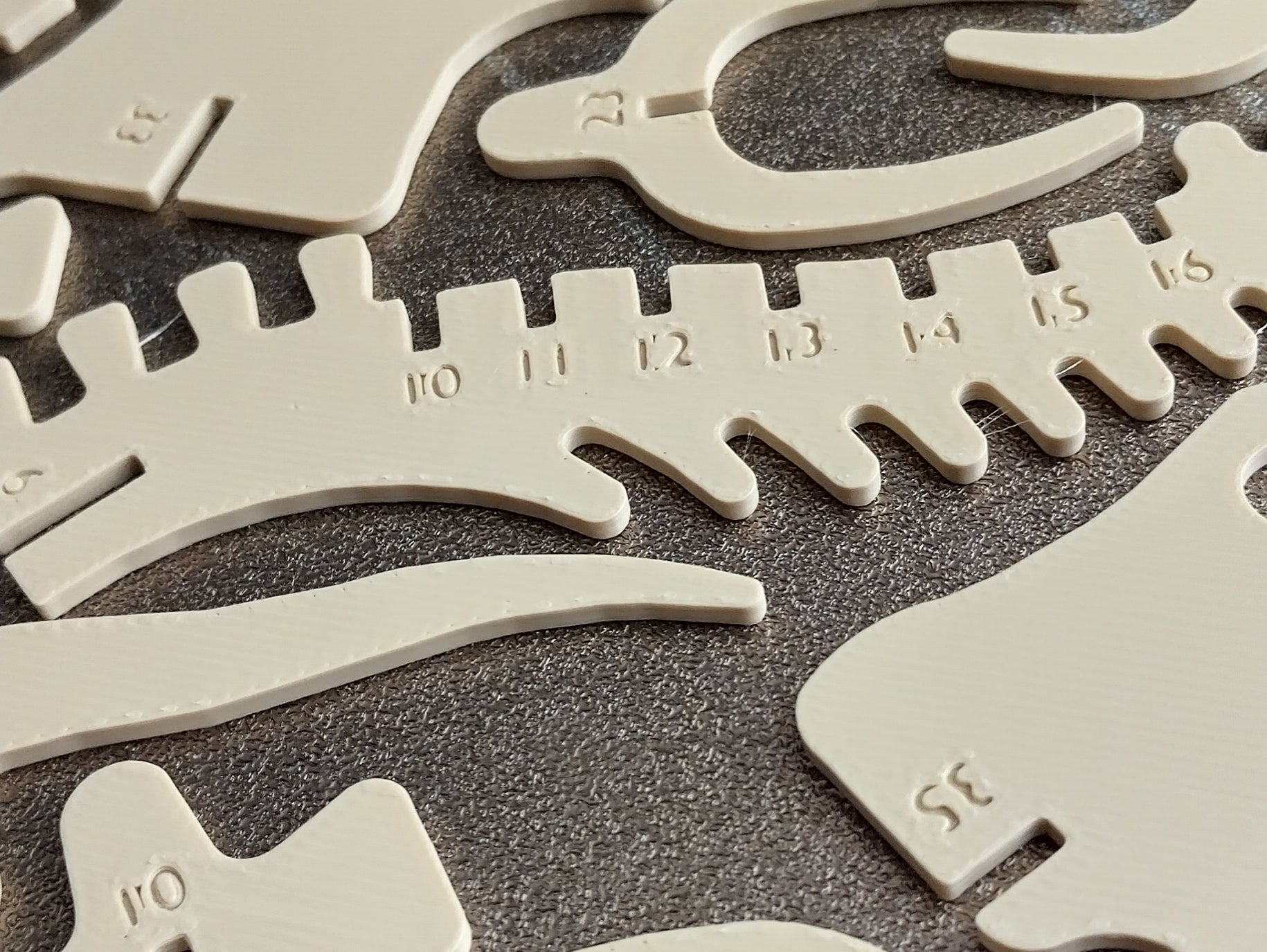 Triceratops, numbered parts