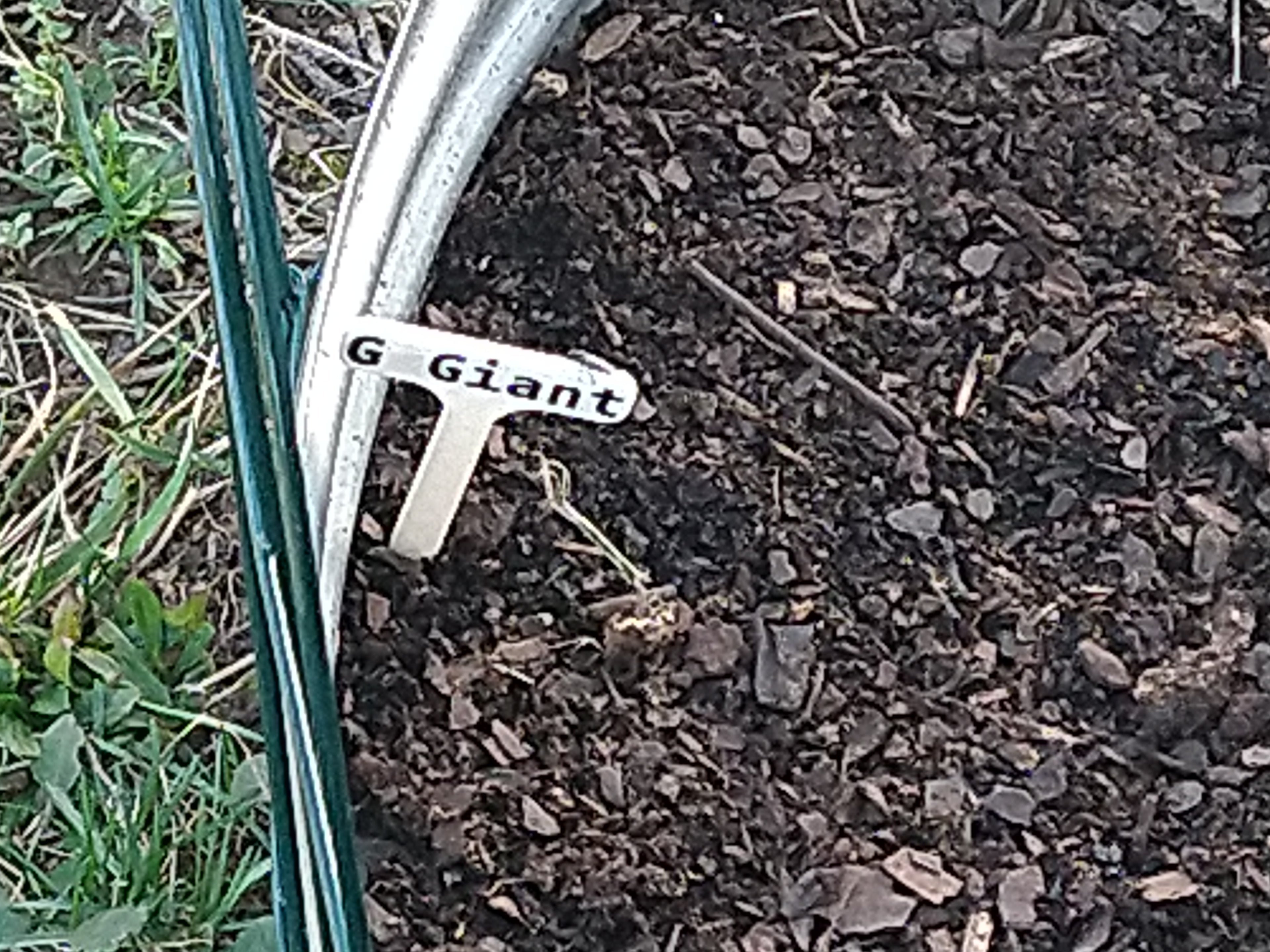 Gardening marker stake