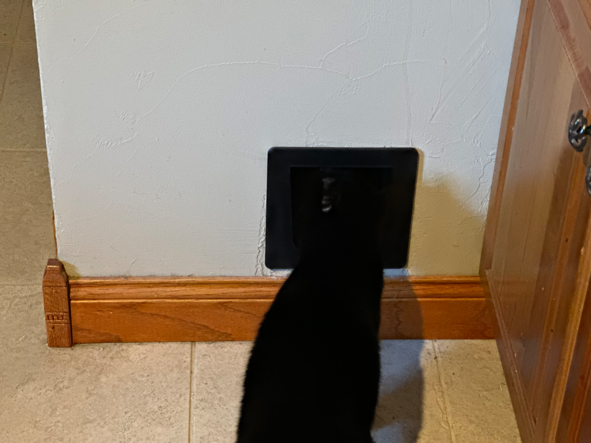 Cat / Small Pet Door
