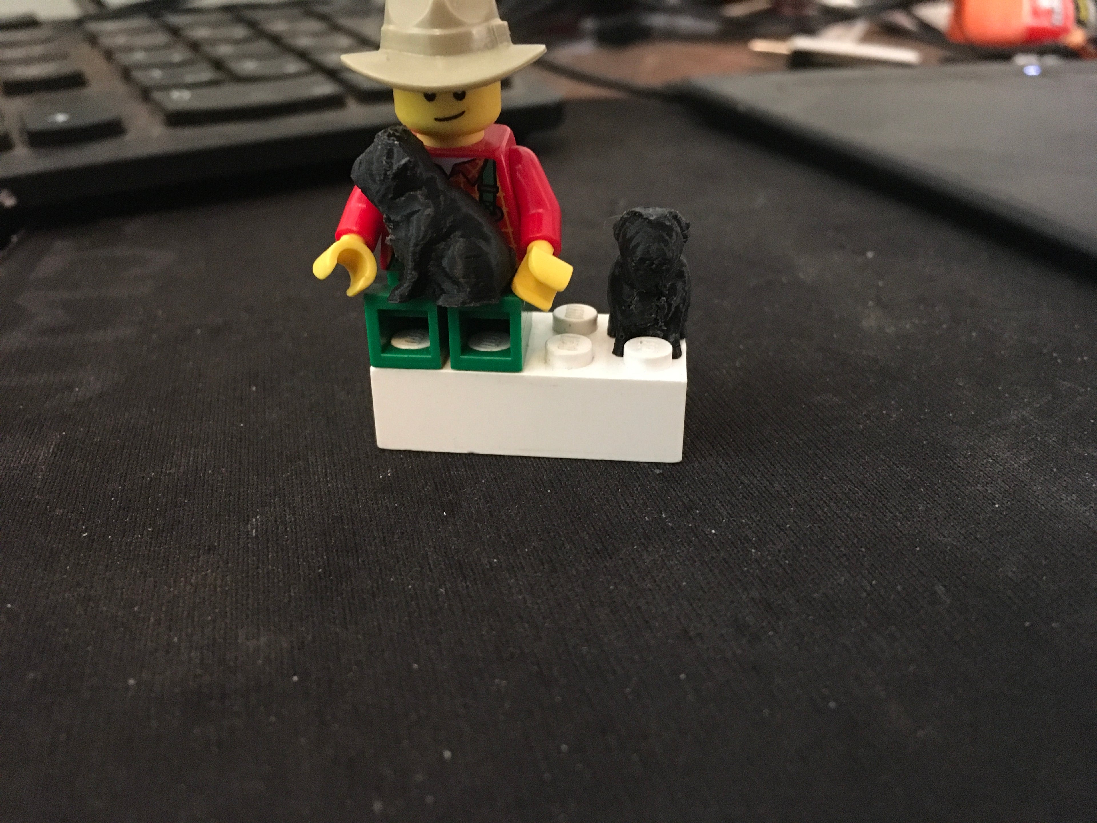 (Brick buddy) dog ( Jo's dog brick