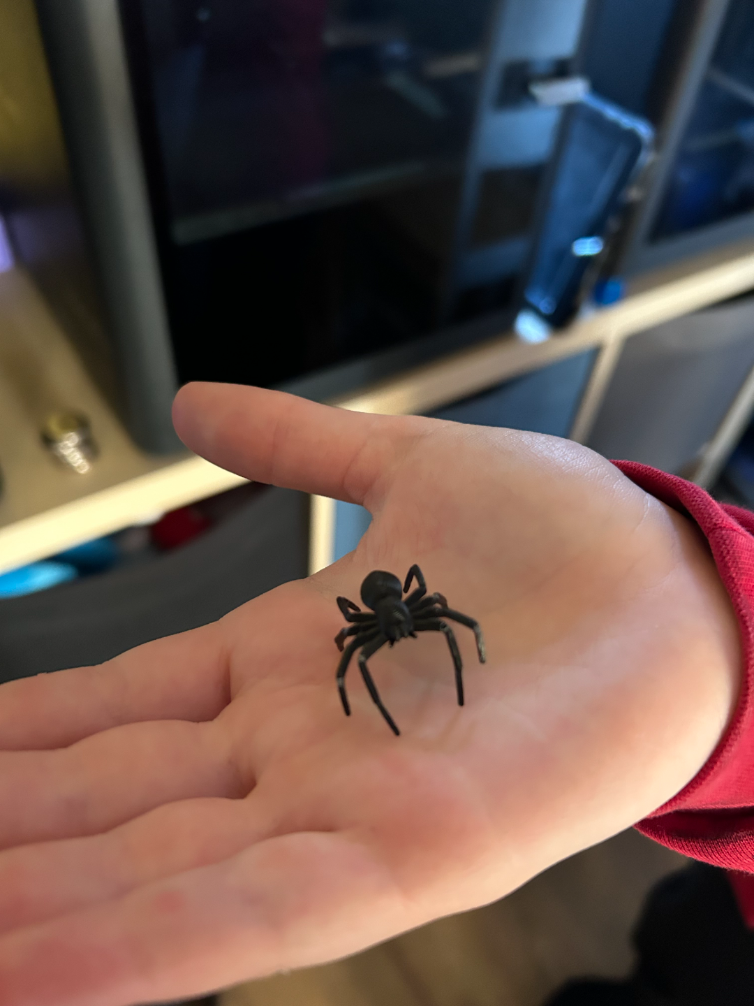 spider halloween