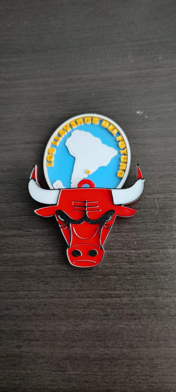 TORO CHICAGO BULLS