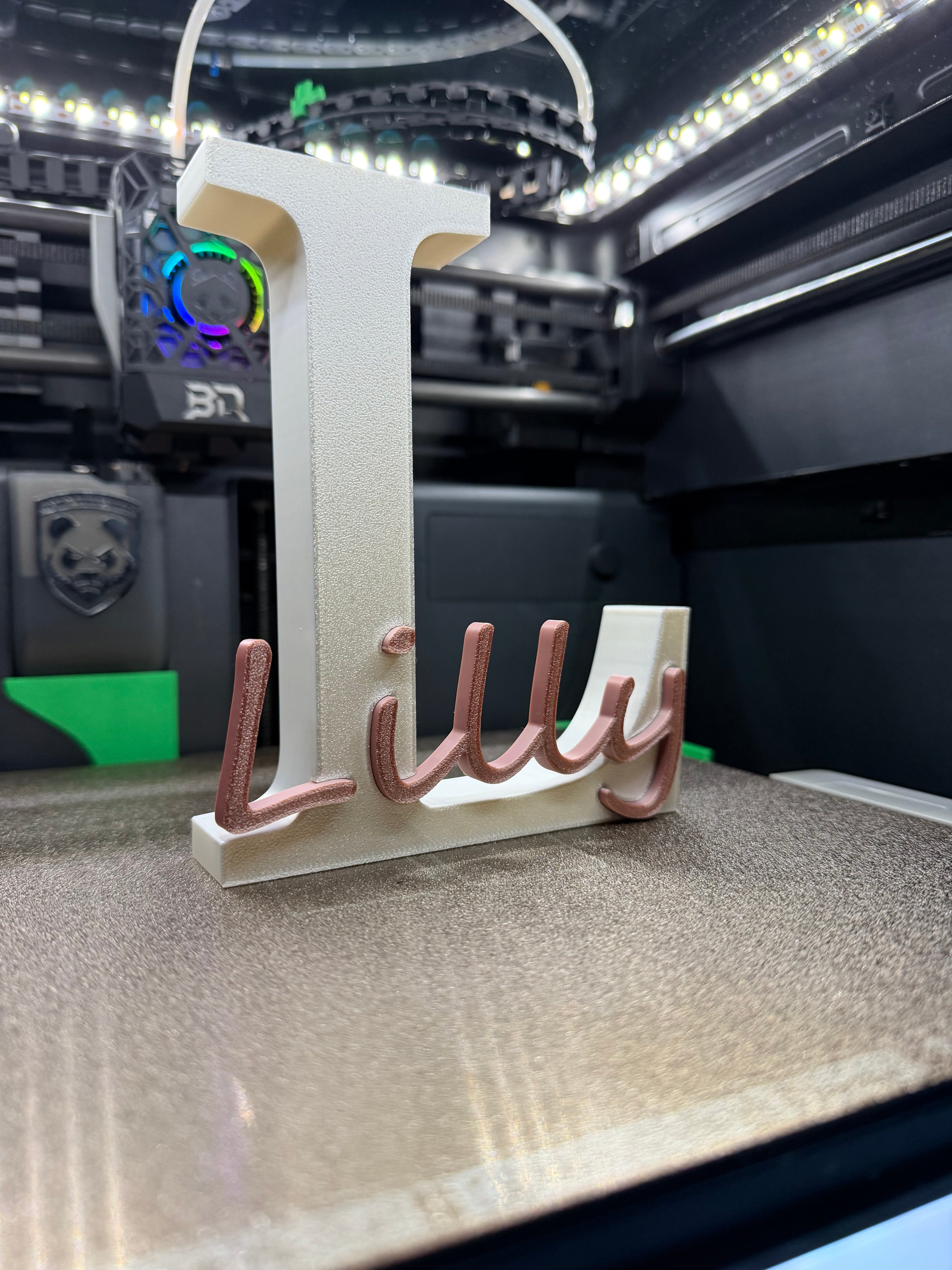 Lilly – Individuelles 3D-Namensschild