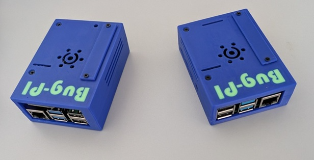 Bug-PI