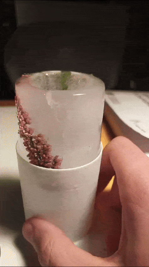 Ice glass mold