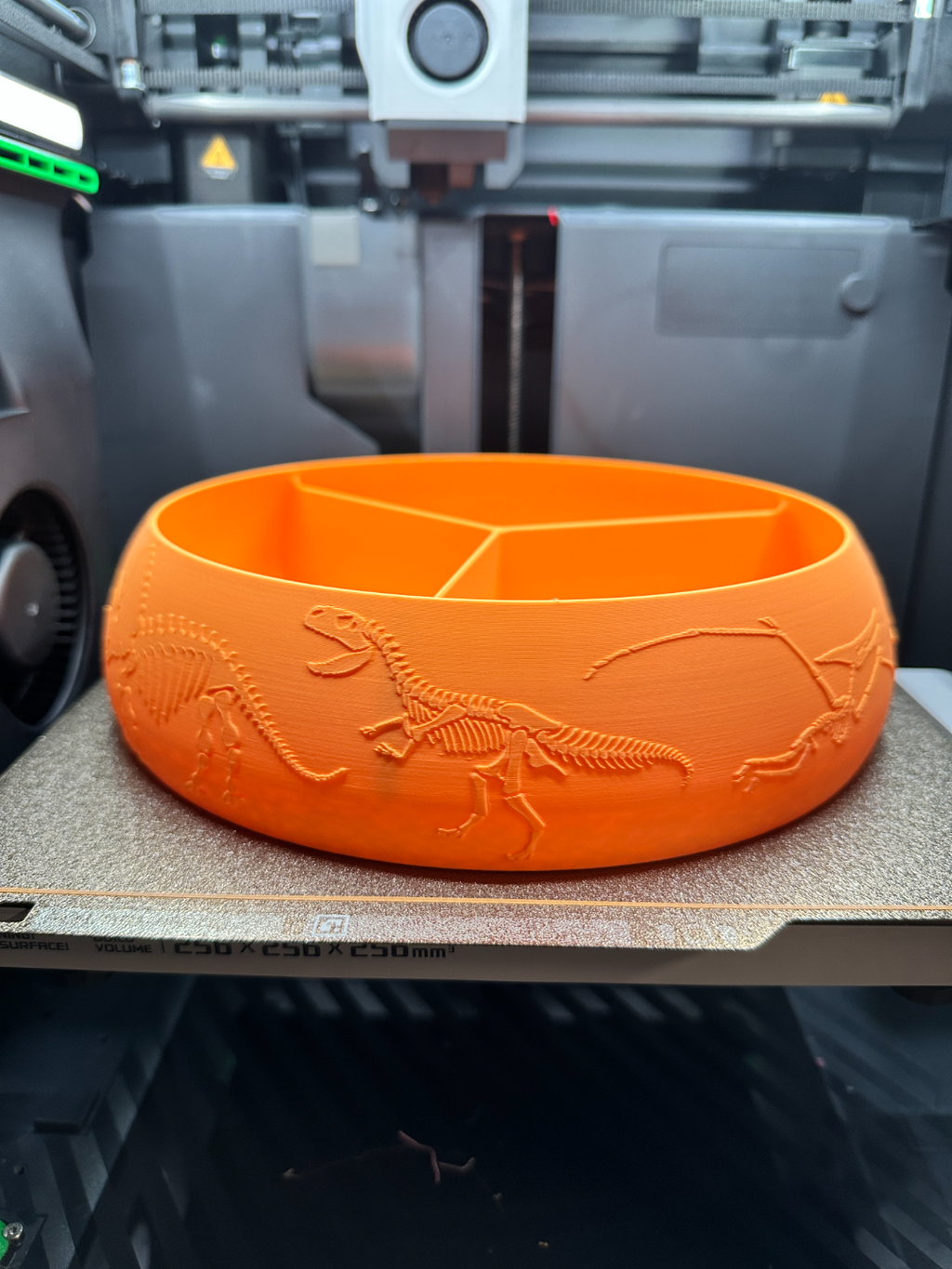 Dinosaur bone catch all snack bowl