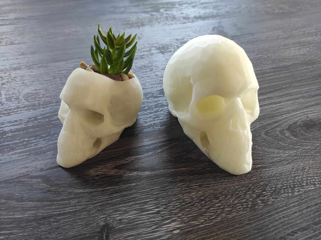 LowPoly Skull from 3D scan