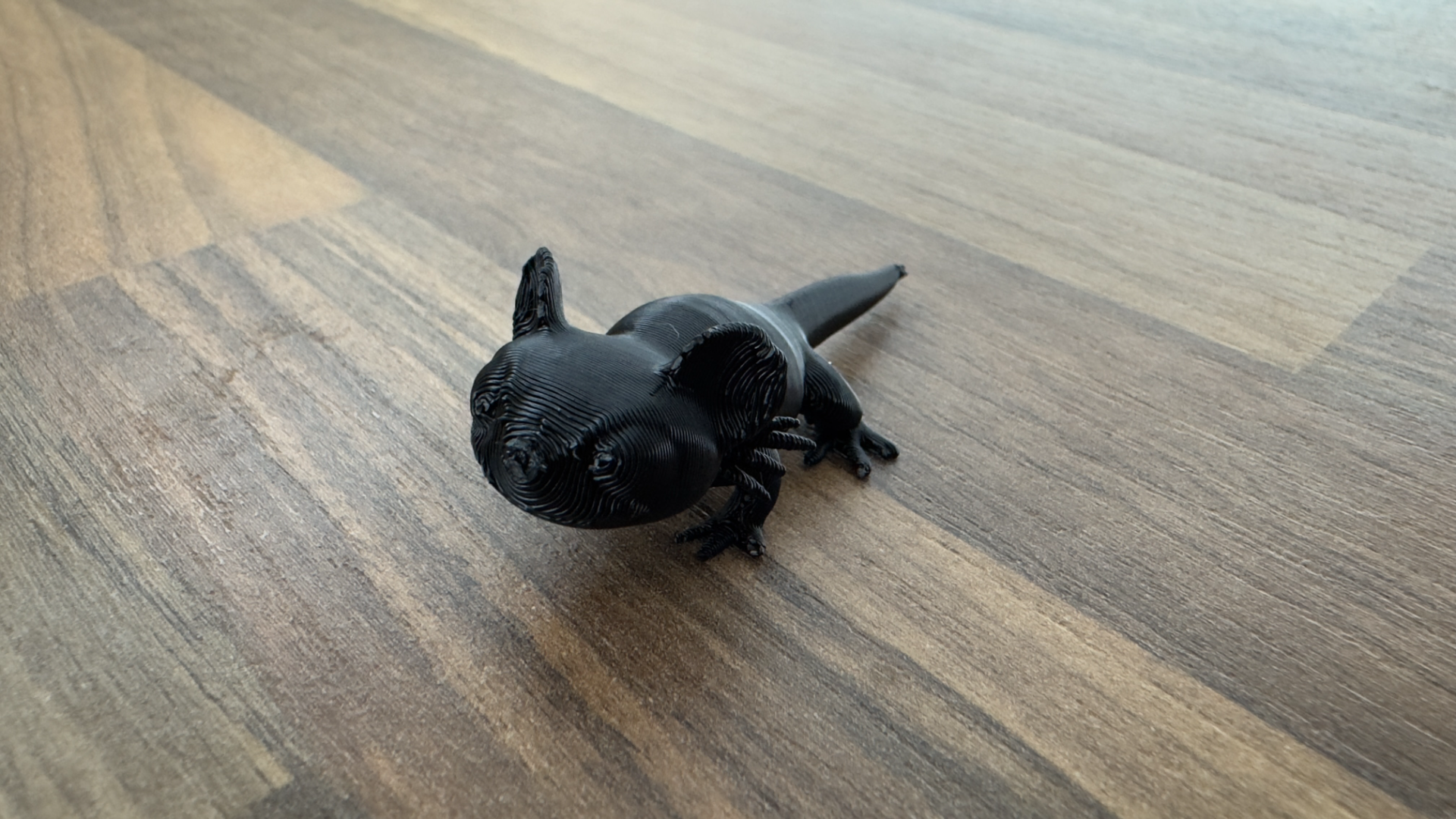 Last filament axolotl