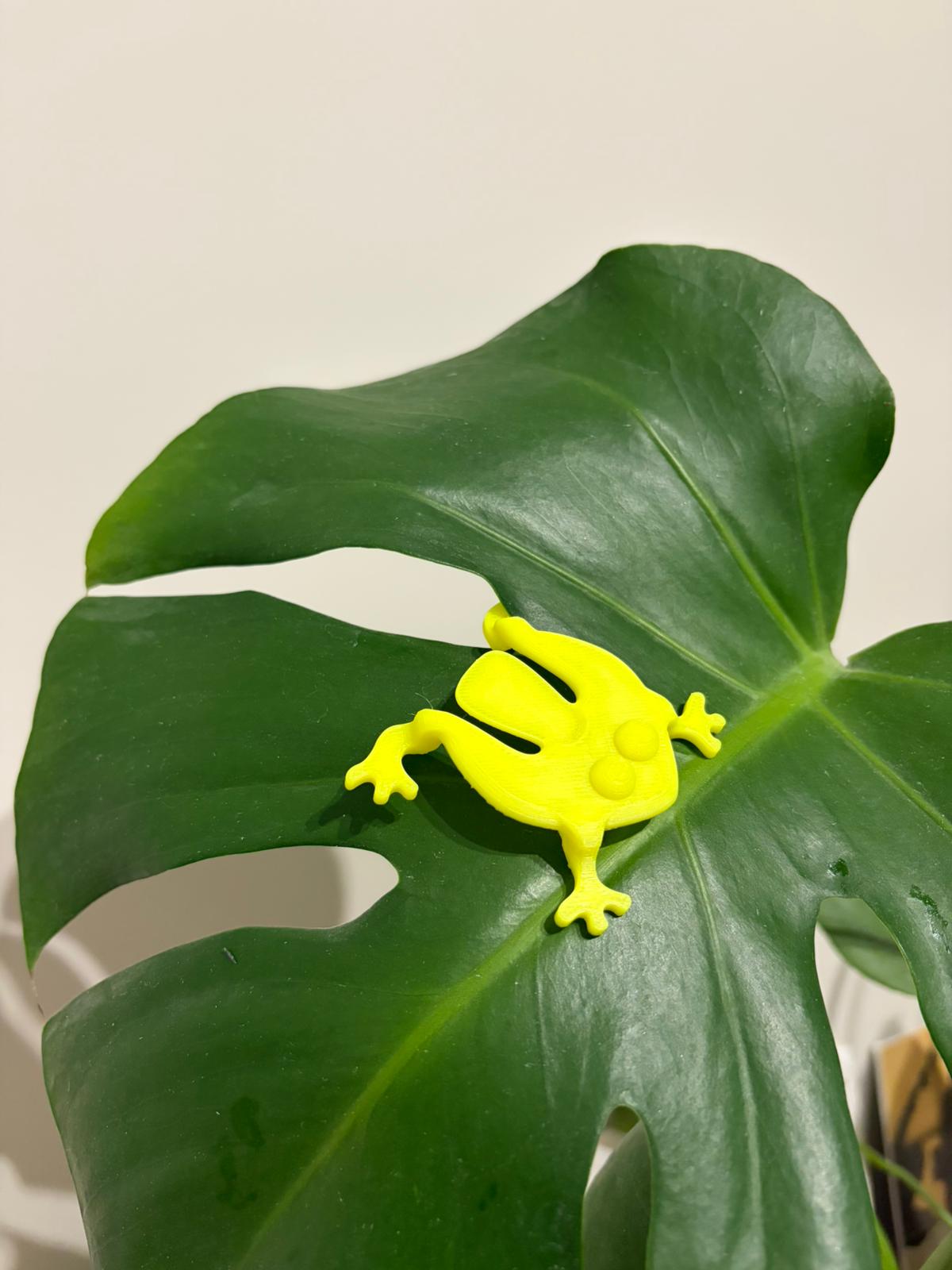 Jumping Frog Fidget Toy