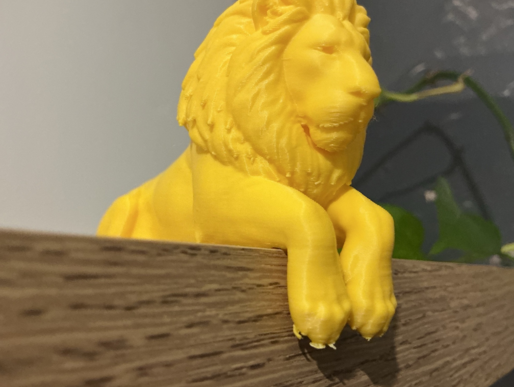 lion sitting on edge