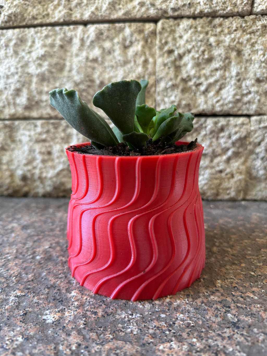 Plant Potter For Succulents / Pot / Container