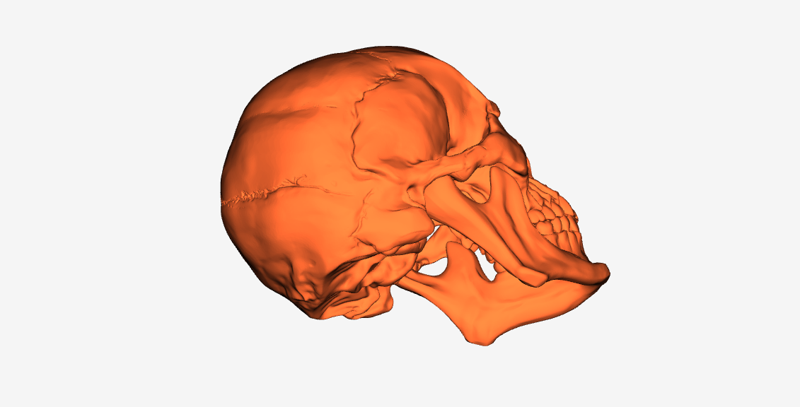 Halloween Skull