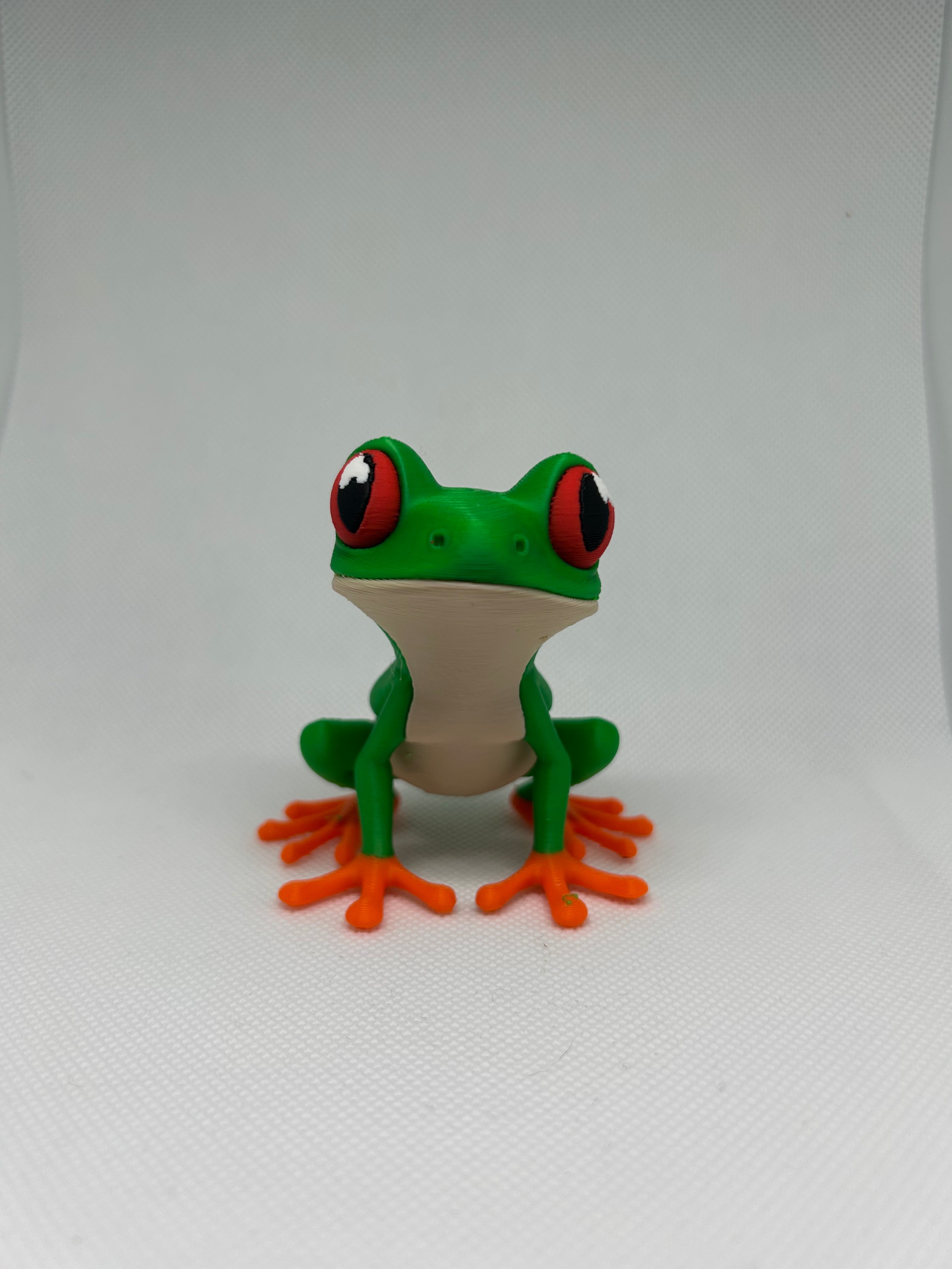 Frog - Happy Tree Frog