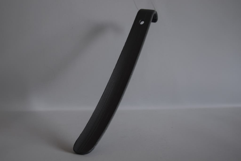 Shoe Horn