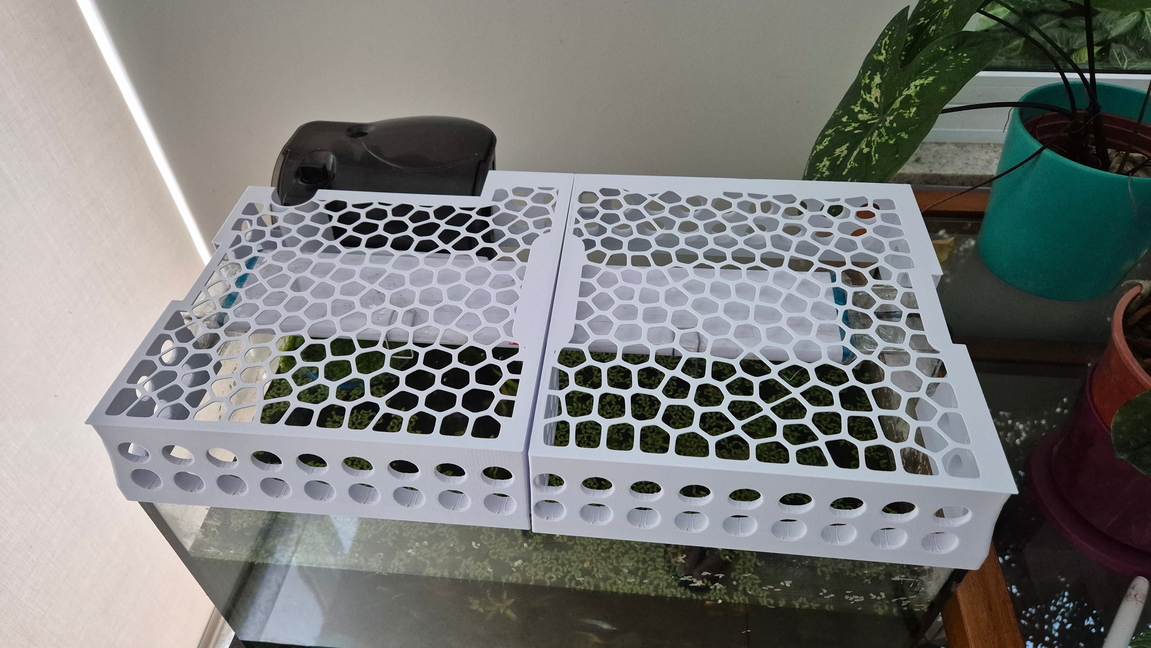 Aquarium Cover