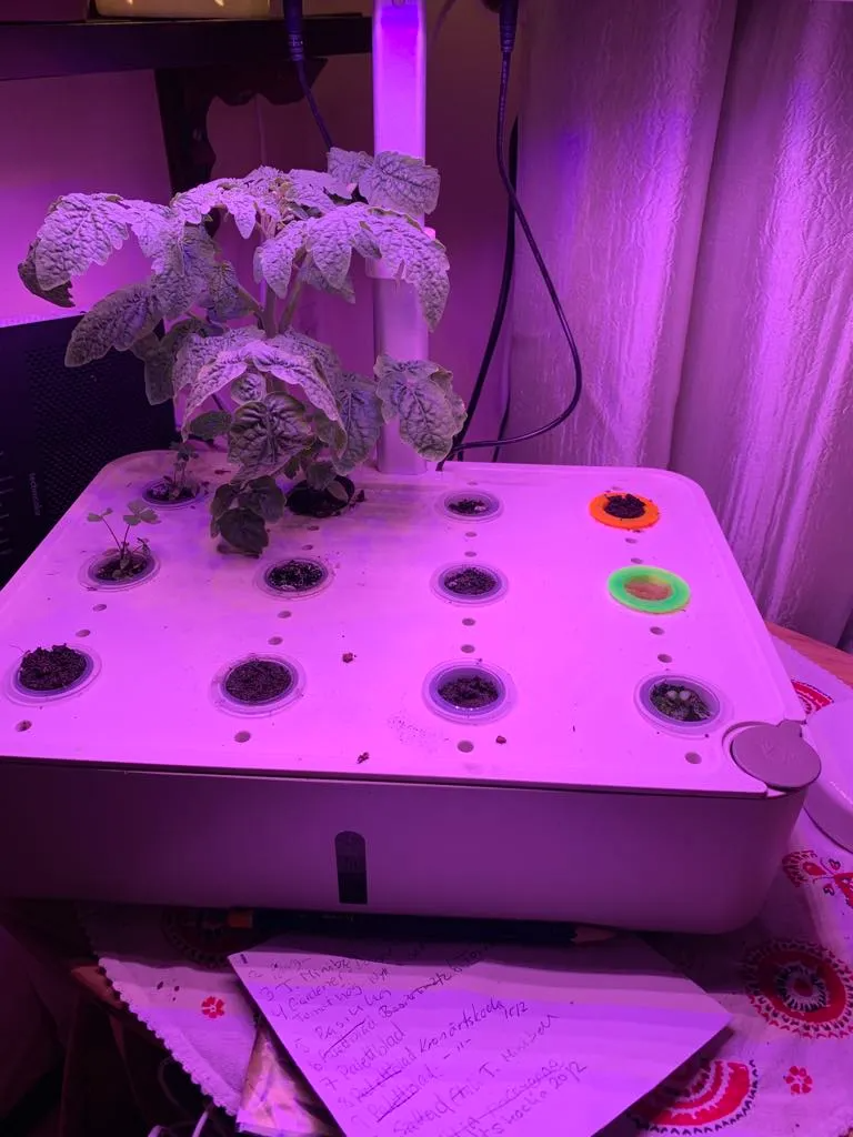 Hydroponic Growing Baskets
