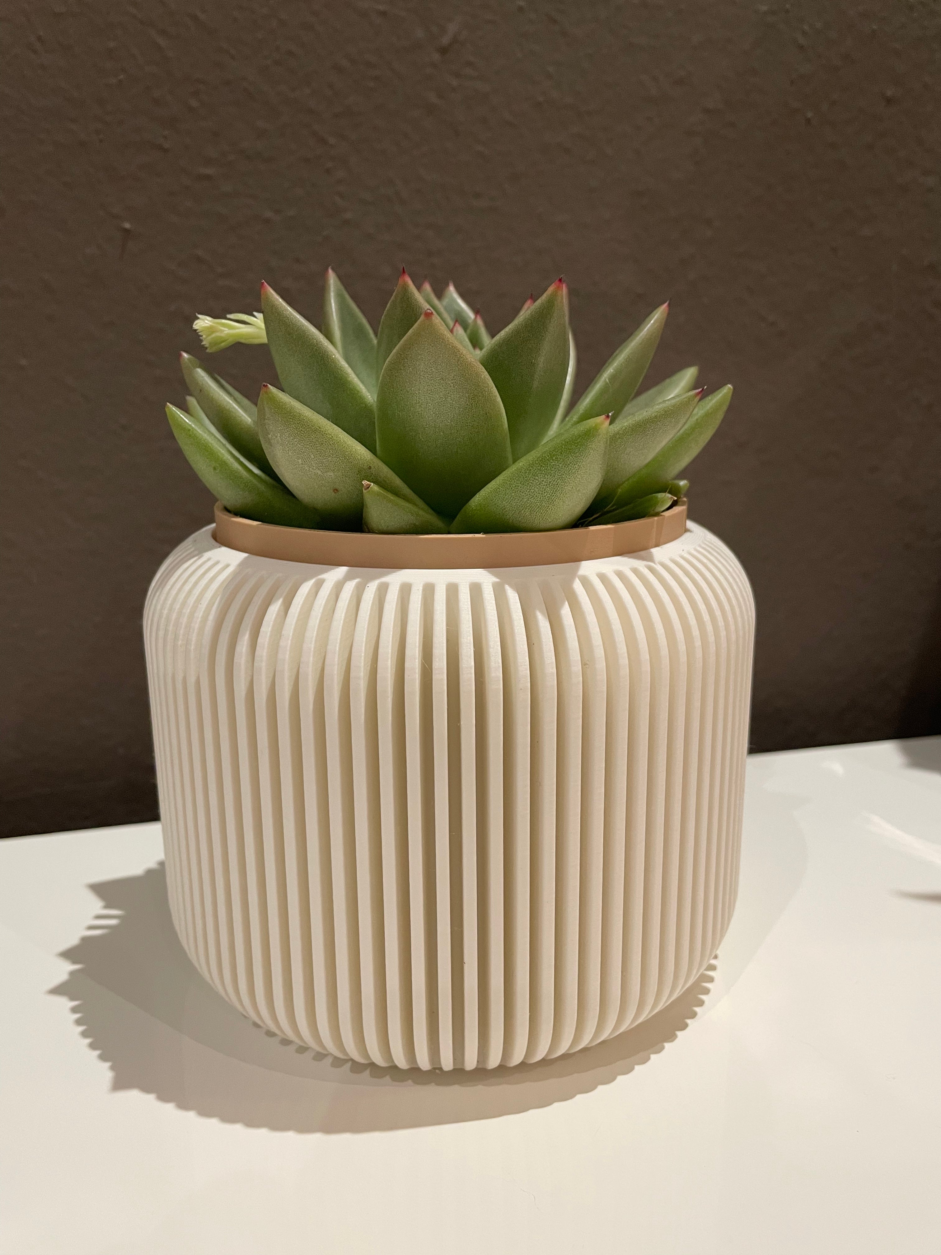 Vaso per pianta di design doppio colore (no AMS)