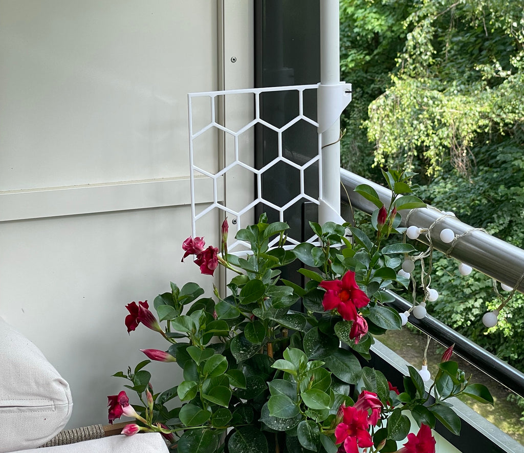 Climbing Plant Trellis | parametric